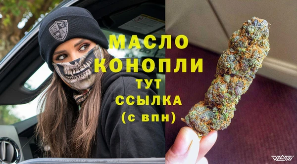 амф Липки