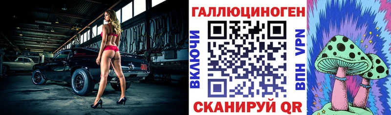 Псилоцибиновые грибы Psilocybe  Малгобек 