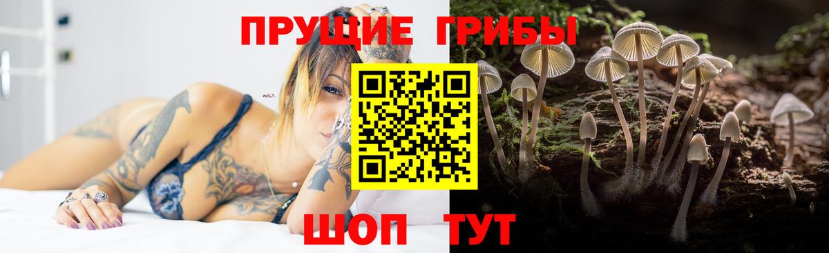 Псилоцибиновые грибы мухоморы  Псилоцибиновые грибы ЛСД  Малгобек  Вход с VPN 