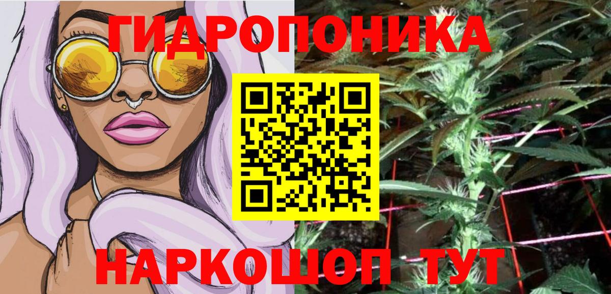 Бошки Шишки индика Малгобек